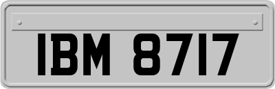 IBM8717