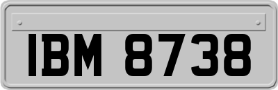 IBM8738