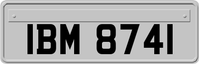 IBM8741