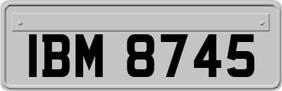 IBM8745