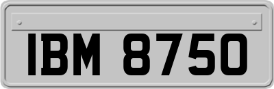 IBM8750