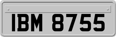 IBM8755