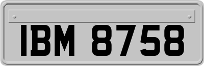 IBM8758