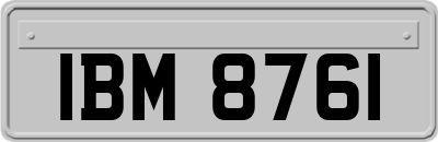 IBM8761