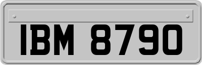 IBM8790