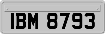 IBM8793