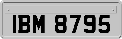 IBM8795