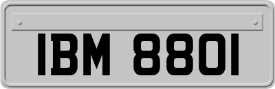 IBM8801