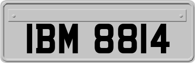 IBM8814