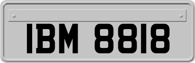 IBM8818