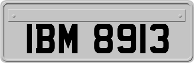 IBM8913