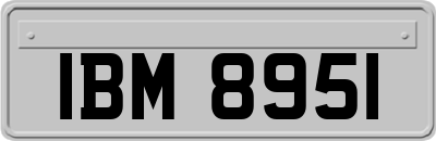 IBM8951