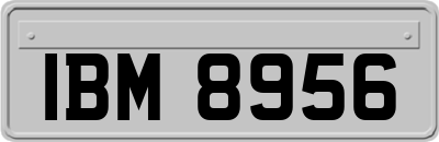 IBM8956