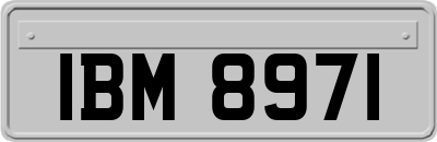 IBM8971