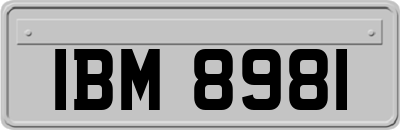 IBM8981