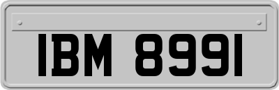 IBM8991