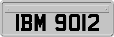 IBM9012