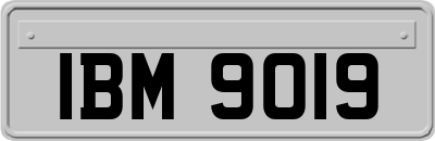 IBM9019