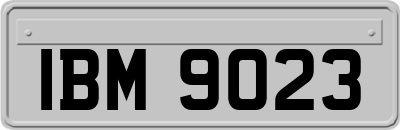 IBM9023