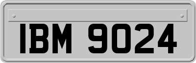 IBM9024