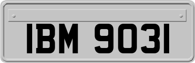 IBM9031