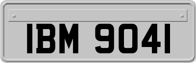 IBM9041