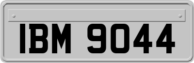 IBM9044