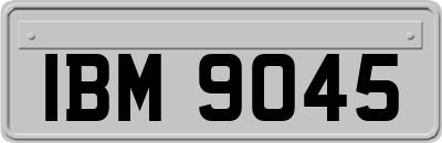 IBM9045