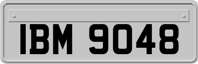 IBM9048