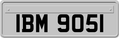 IBM9051