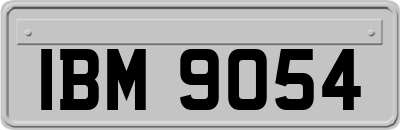 IBM9054