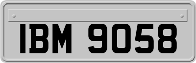 IBM9058