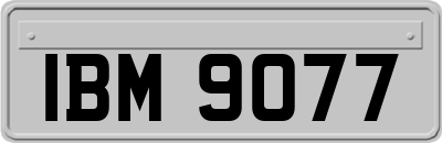 IBM9077