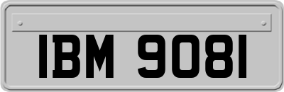 IBM9081