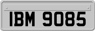 IBM9085