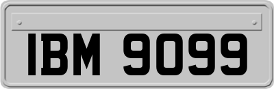 IBM9099