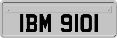 IBM9101