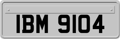 IBM9104