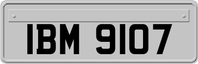 IBM9107