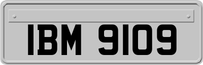 IBM9109