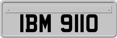 IBM9110