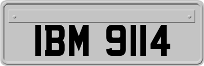 IBM9114