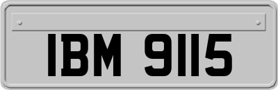 IBM9115