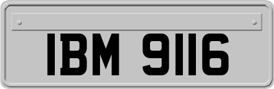 IBM9116