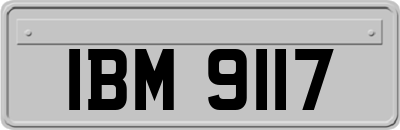 IBM9117