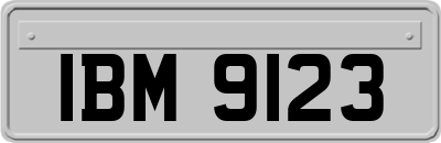 IBM9123