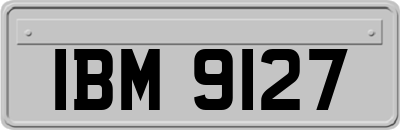 IBM9127