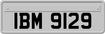 IBM9129