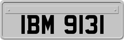 IBM9131