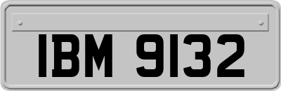 IBM9132